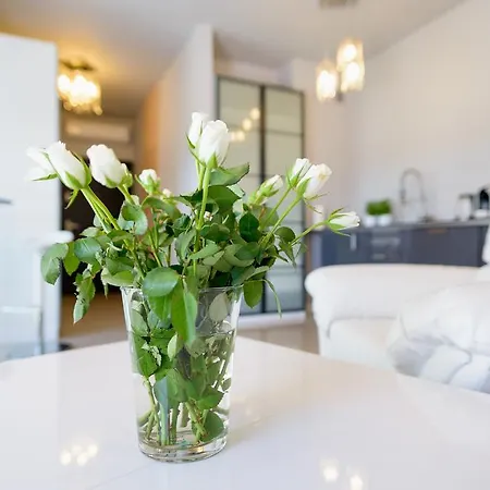Appartement Lauren - Centrum Polwiejska Poznań